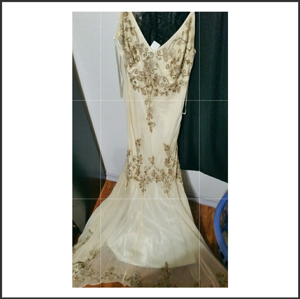 Beautiful beaded designs thru out the dress