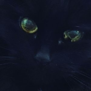 Meet your Posher, Marie