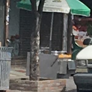 Meet your Posher, Dana