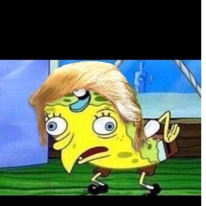 Meet your Posher, Doot