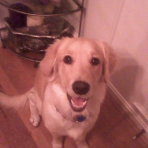 Meet your Posher, Kassy