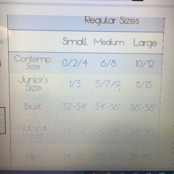 PRICE REDUCTION!! Ruffle Mini Skirt NWOT - Picture 4 of 4