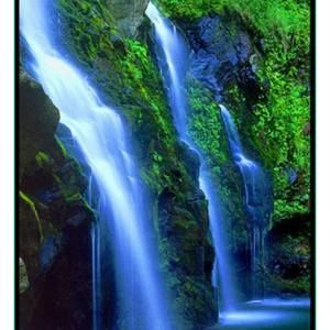 Meet your Posher, Nikita