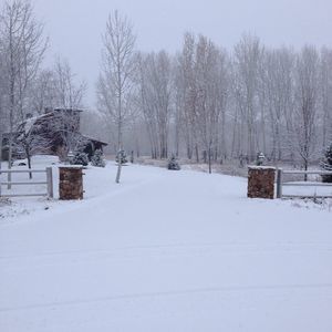 Meet your Posher, Beltran