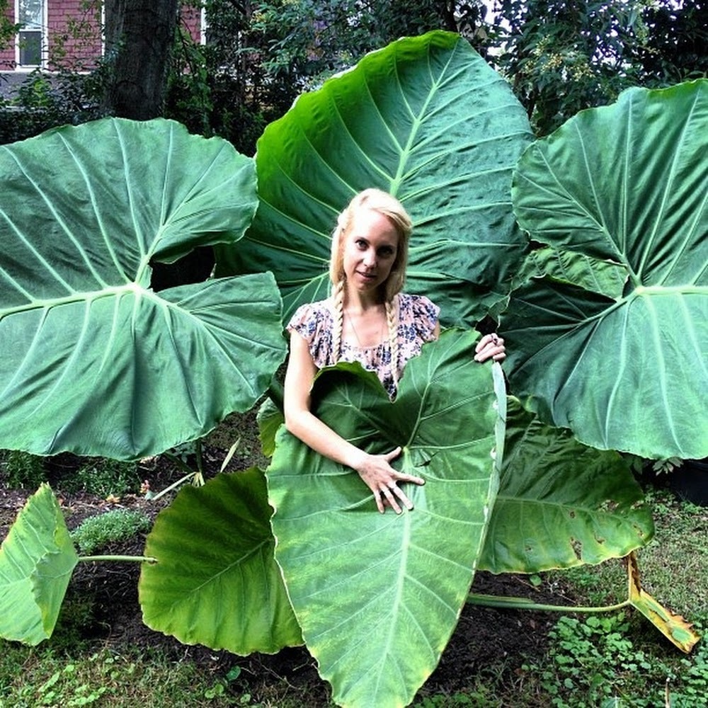 Meet your Posher, Natalie