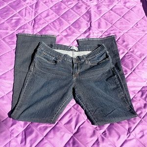 Levi signature bootcut 14 L