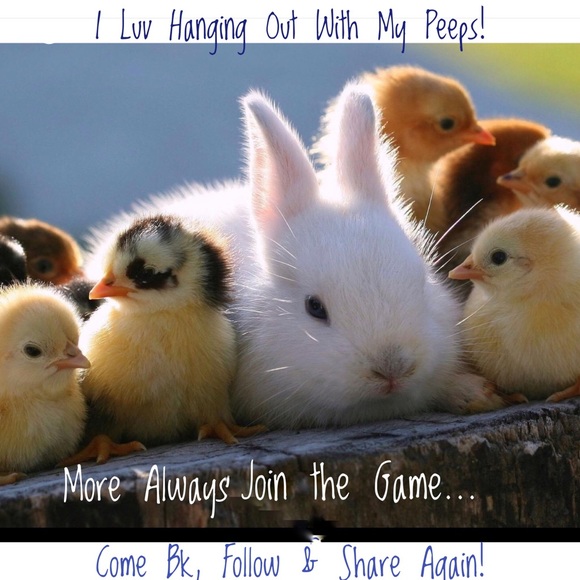 FULL! NEW GAME SOON! - Picture 3 of 3