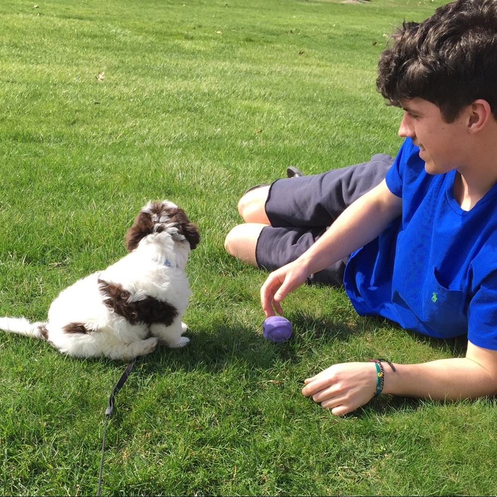 Meet your Posher, Paul