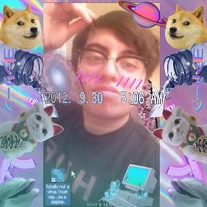 Meet your Posher, Porter