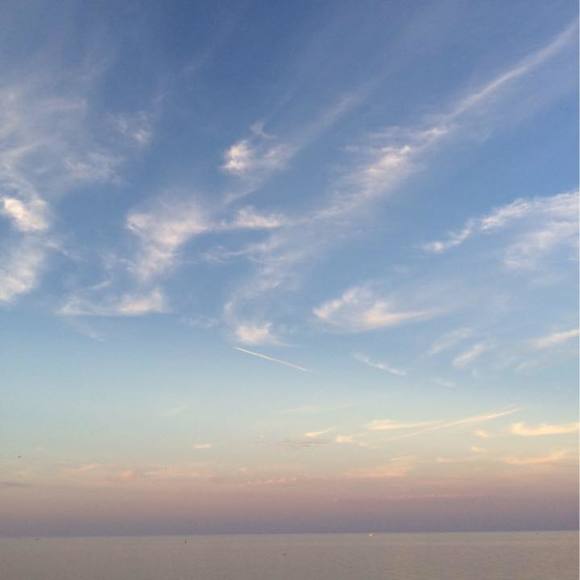 Meet your Posher, Zhao - Picture 1 of 1