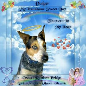 Meet your Posher, Ginger