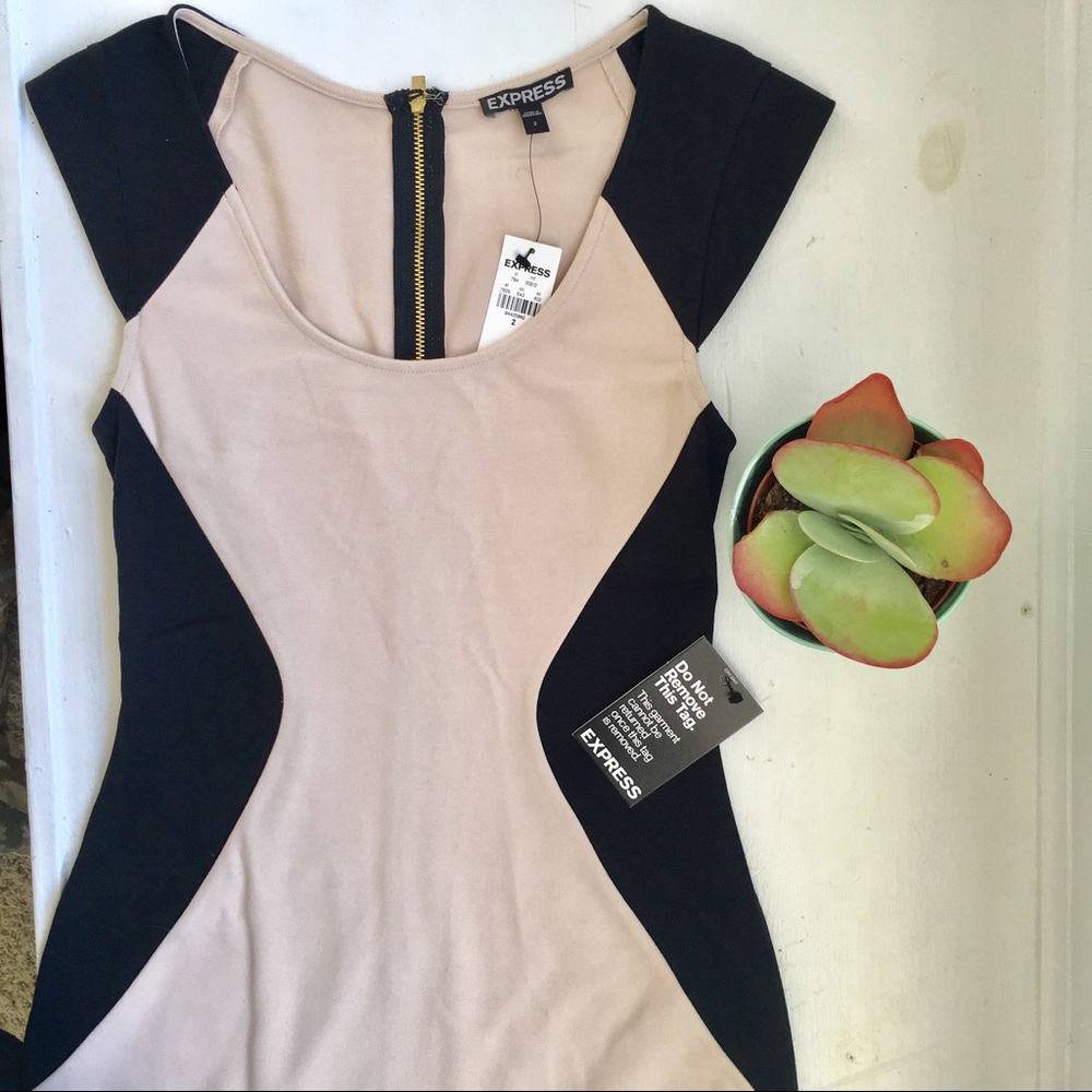 *NWT Express fitted tan and black cap sleeve Dress