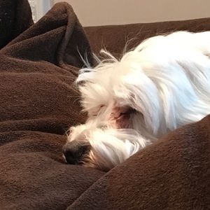 Meet your Posher, Esther