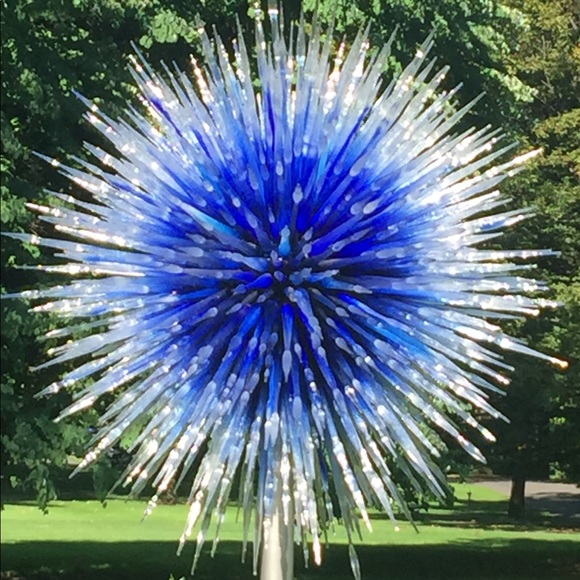 ๐ธMy Very First Follow Game! - Picture 2 of 6