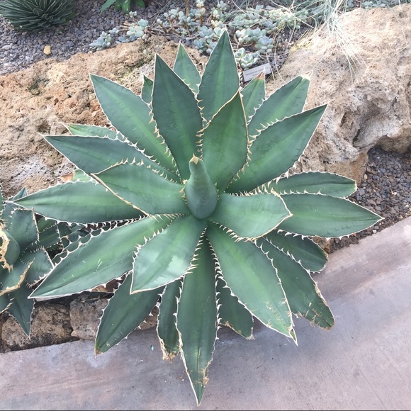 ๐ธMy Very First Follow Game! - Picture 5 of 6