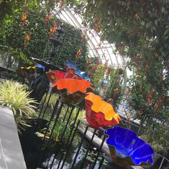 ๐ธMy Very First Follow Game! - Picture 6 of 6