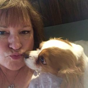 Meet your Posher, Janis