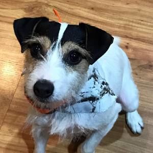 Meet your Posher, Lynn