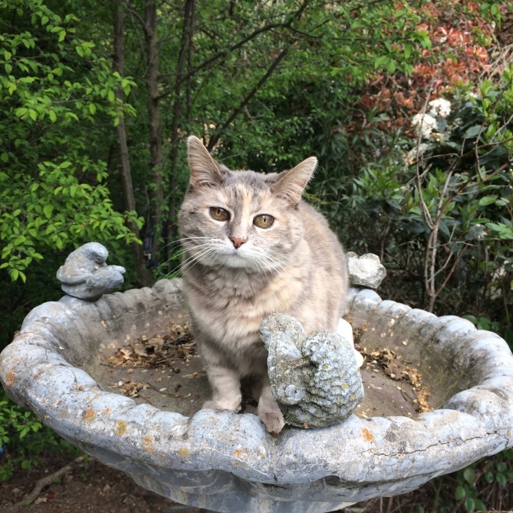 Meet your Posher, Janine