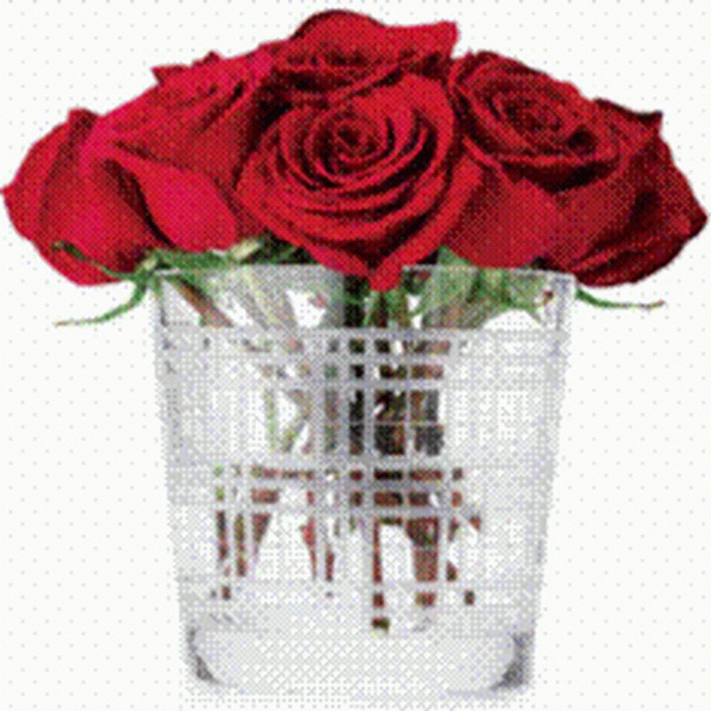 Meet your Posher, Tina