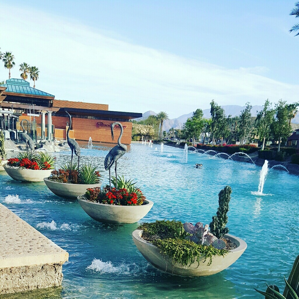 Meet your Posher, Gabby