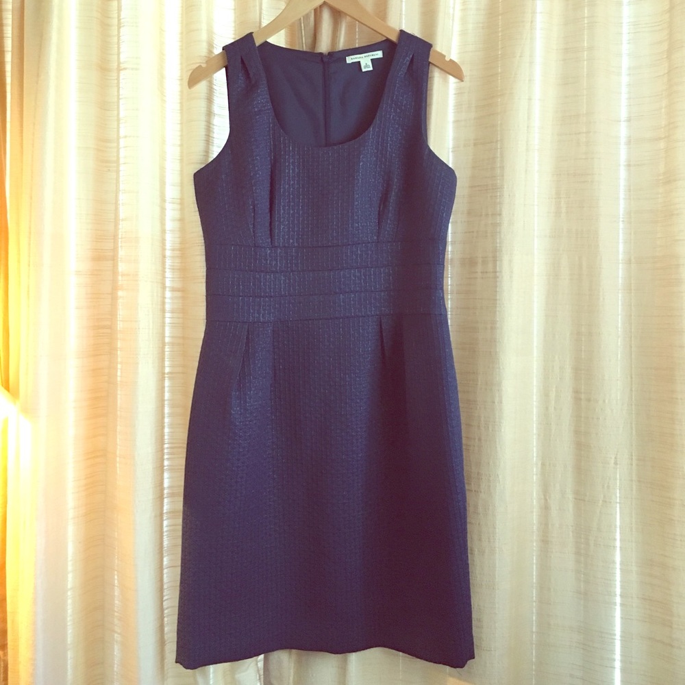 Banana Republic Blue Shift Dress Size 8