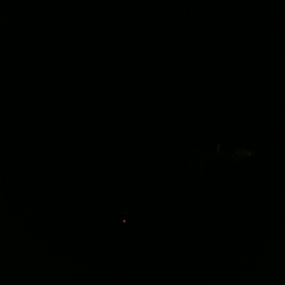 Meet your Posher, Casey - Picture 1 of 1