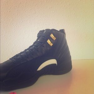 Masters Jordan Retro 12