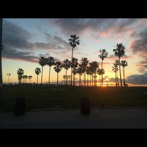 Meet your Posher, Albert