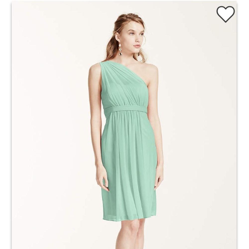 David's Bridal Bridesmaid Dress