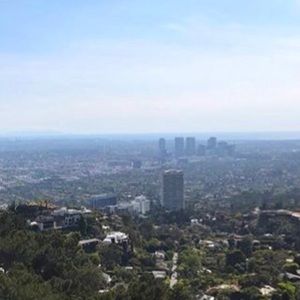 Meet your Posher, Leo