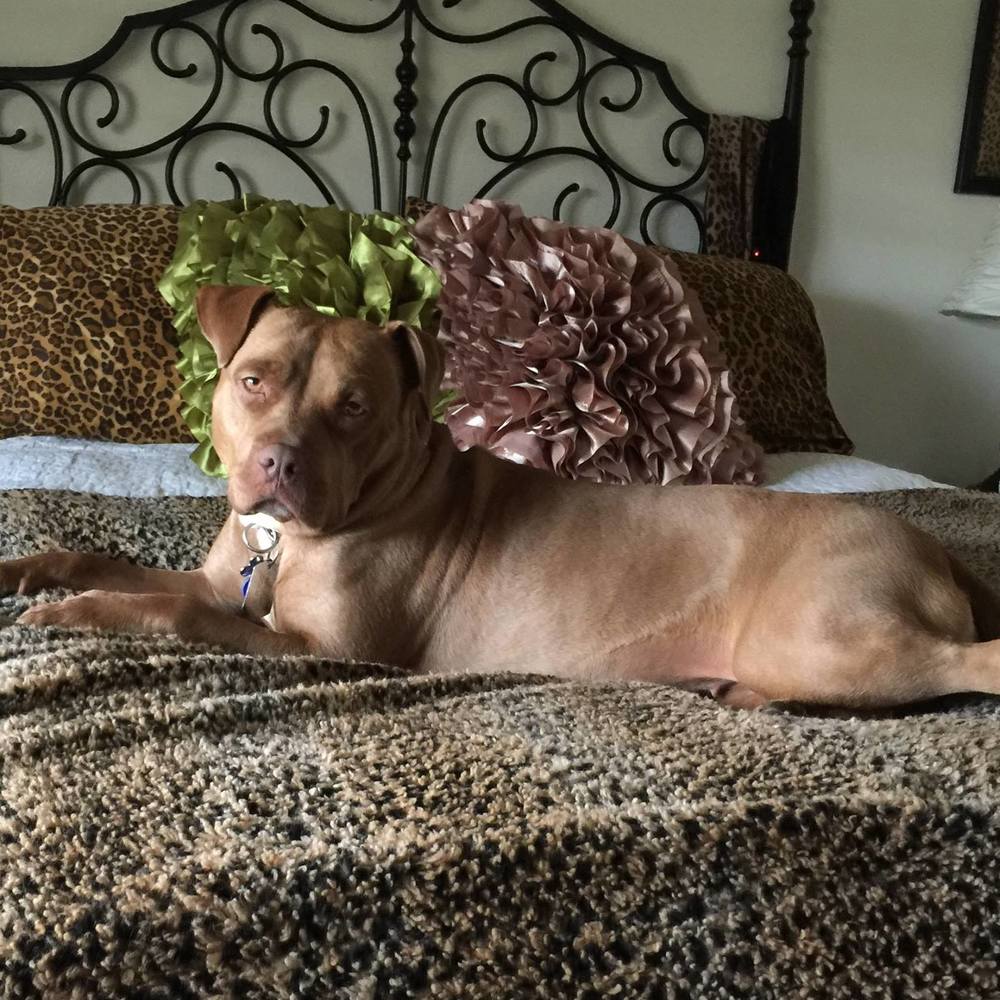 Meet your Posher, Margie