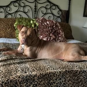 Meet your Posher, Margie