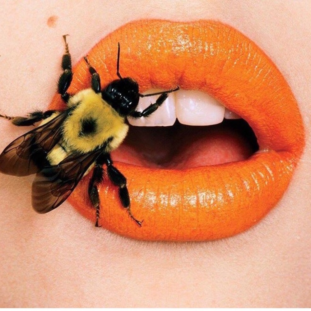 Meet your Posher, Carmen