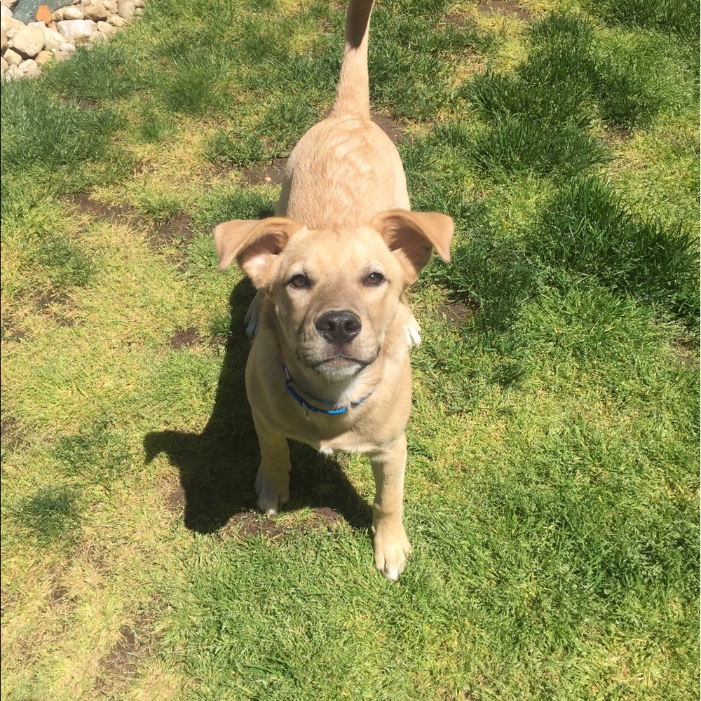 Meet your Posher, Michele