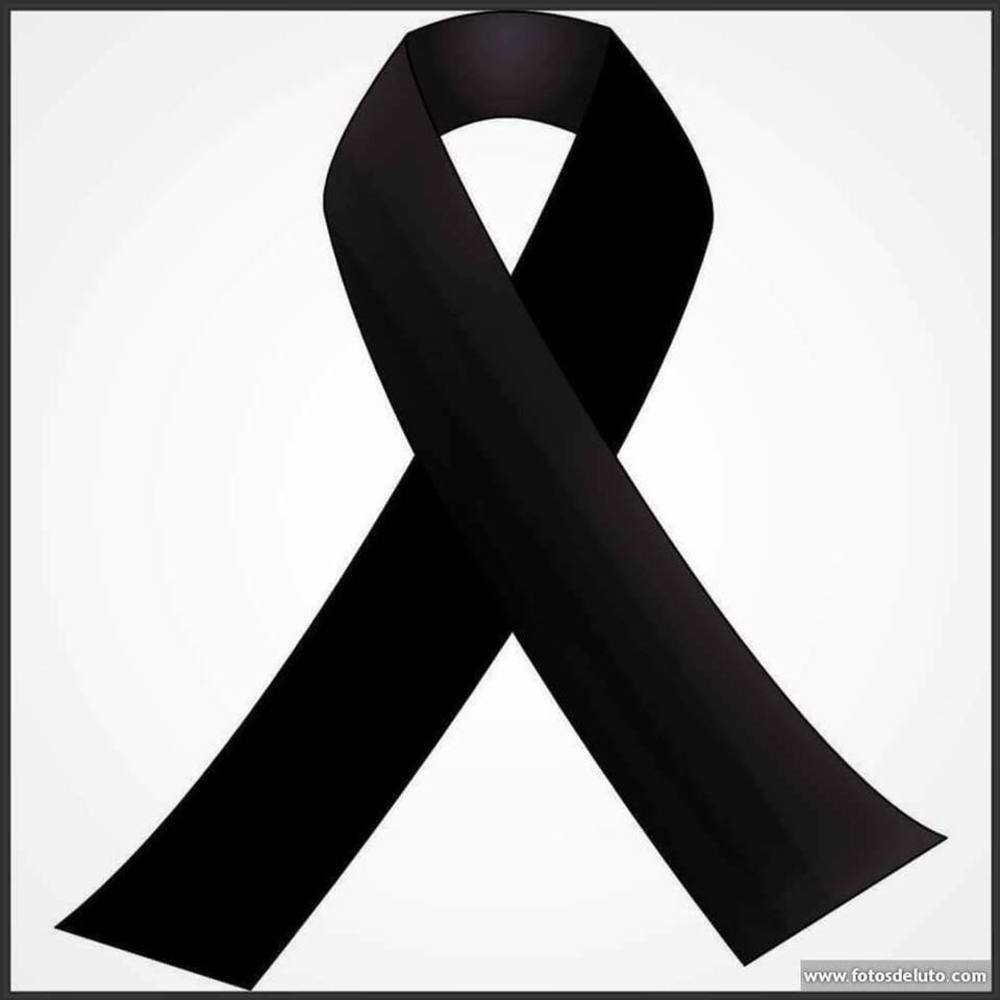 Meet your Posher, Lisseth