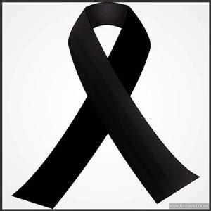 Meet your Posher, Lisseth