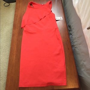 Red Dress Boutique L coral sheath dress