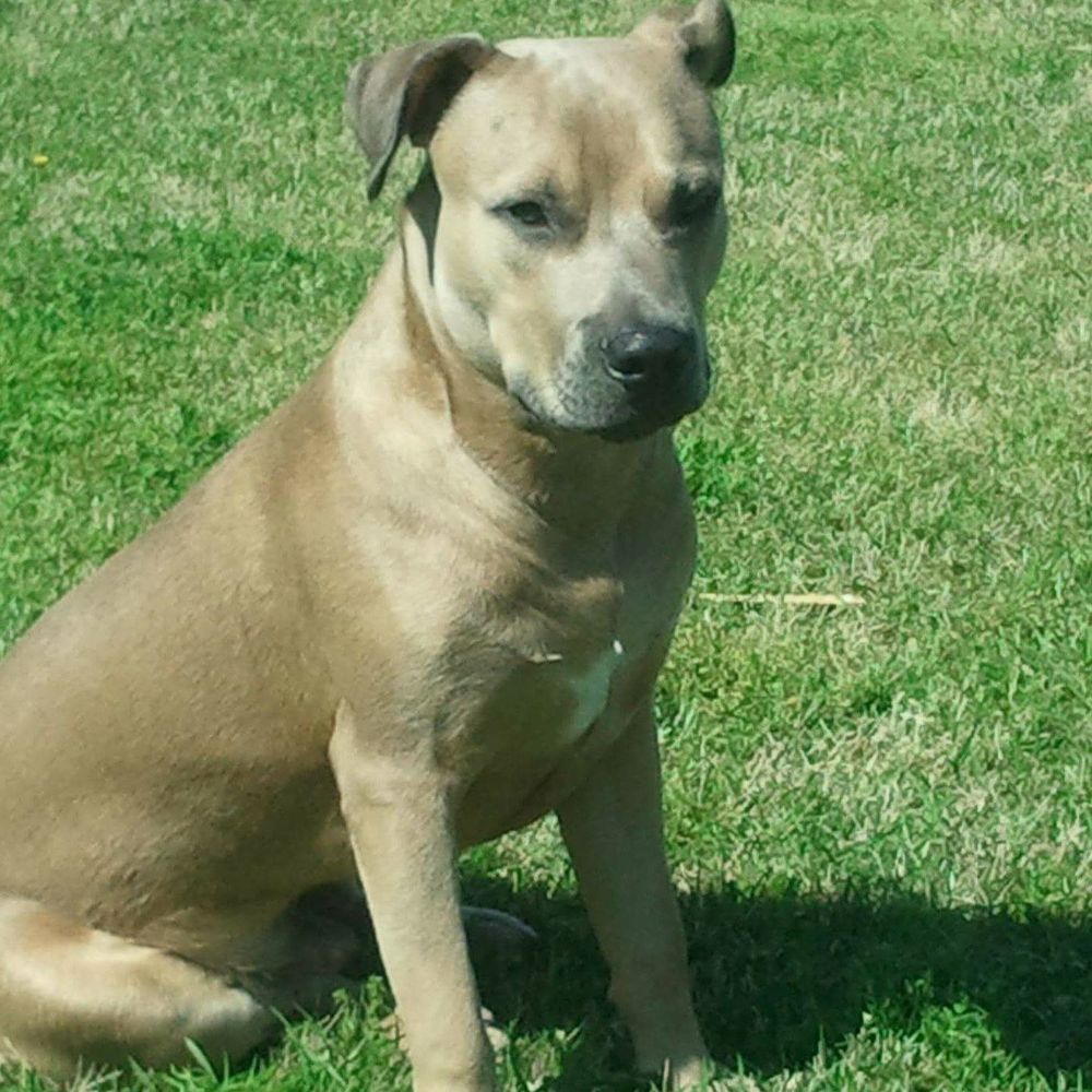 Meet your Posher, Ashantae