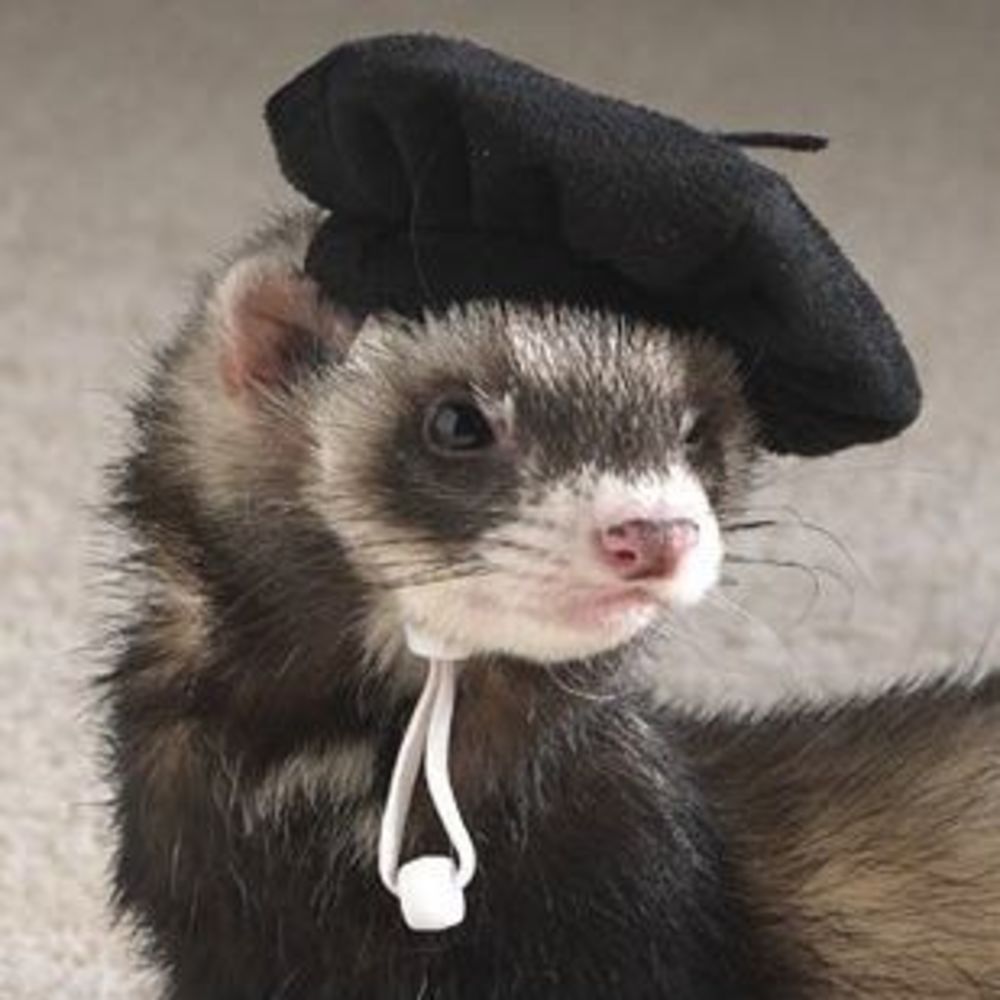 Meet your Posher, Rita