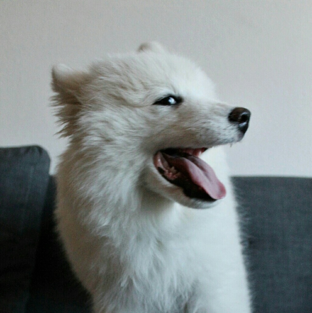 Meet your Posher, Maura