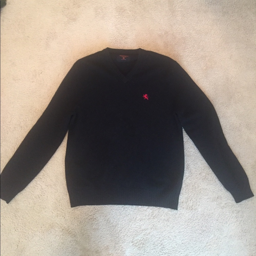 Express Wool sweater