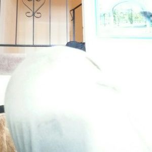 Meet your Posher, Abdul