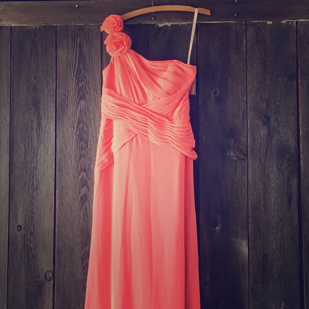 NWT David's Bridal coral dress