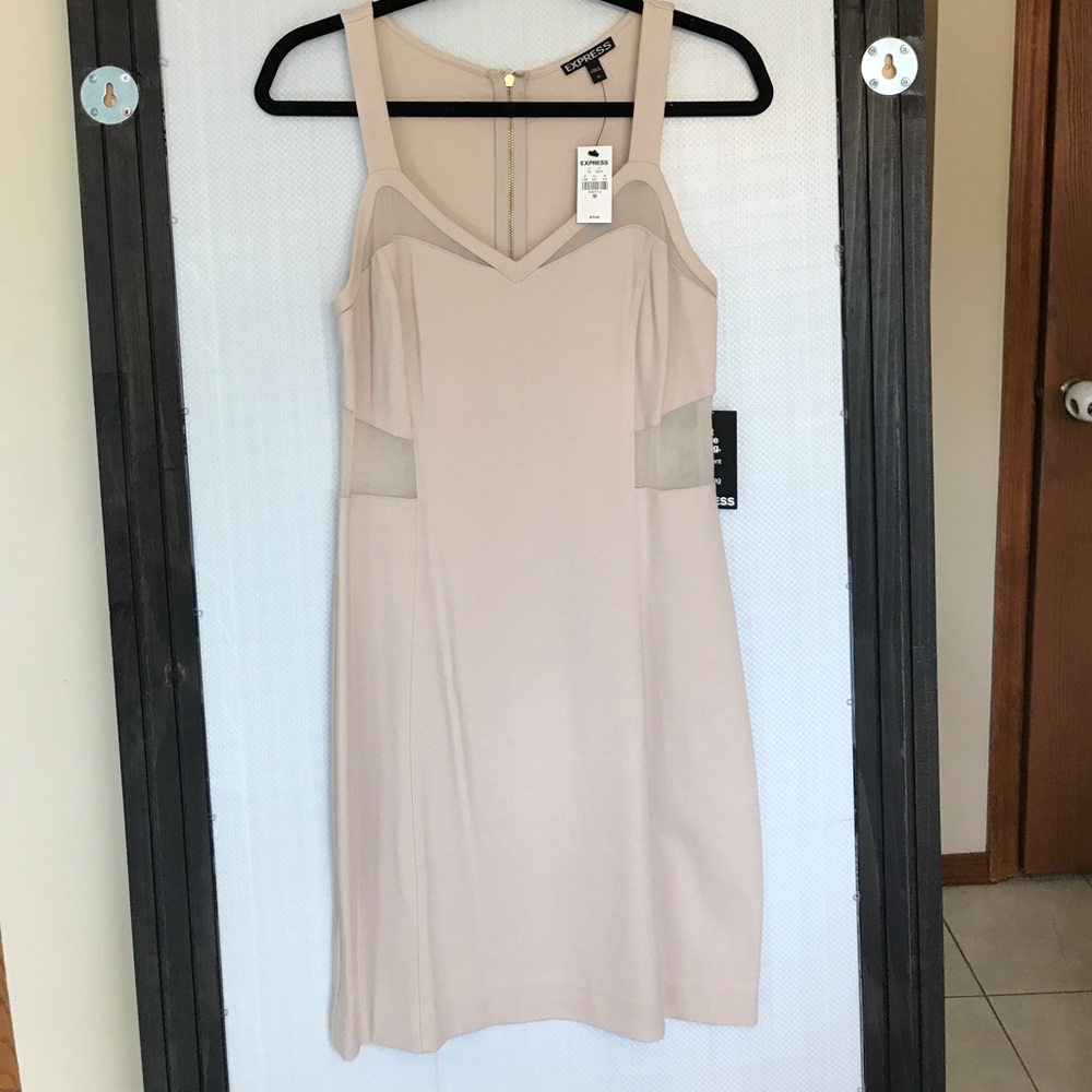 Express Mesh Panel Dress