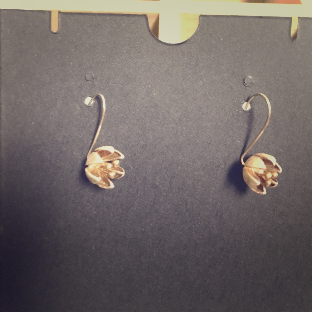 Long Backing Floral Earrings