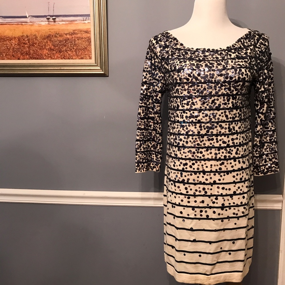 [J. Crew] Confetti Stripe Sweater Dress