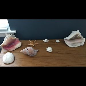 Meet your Posher, Stella