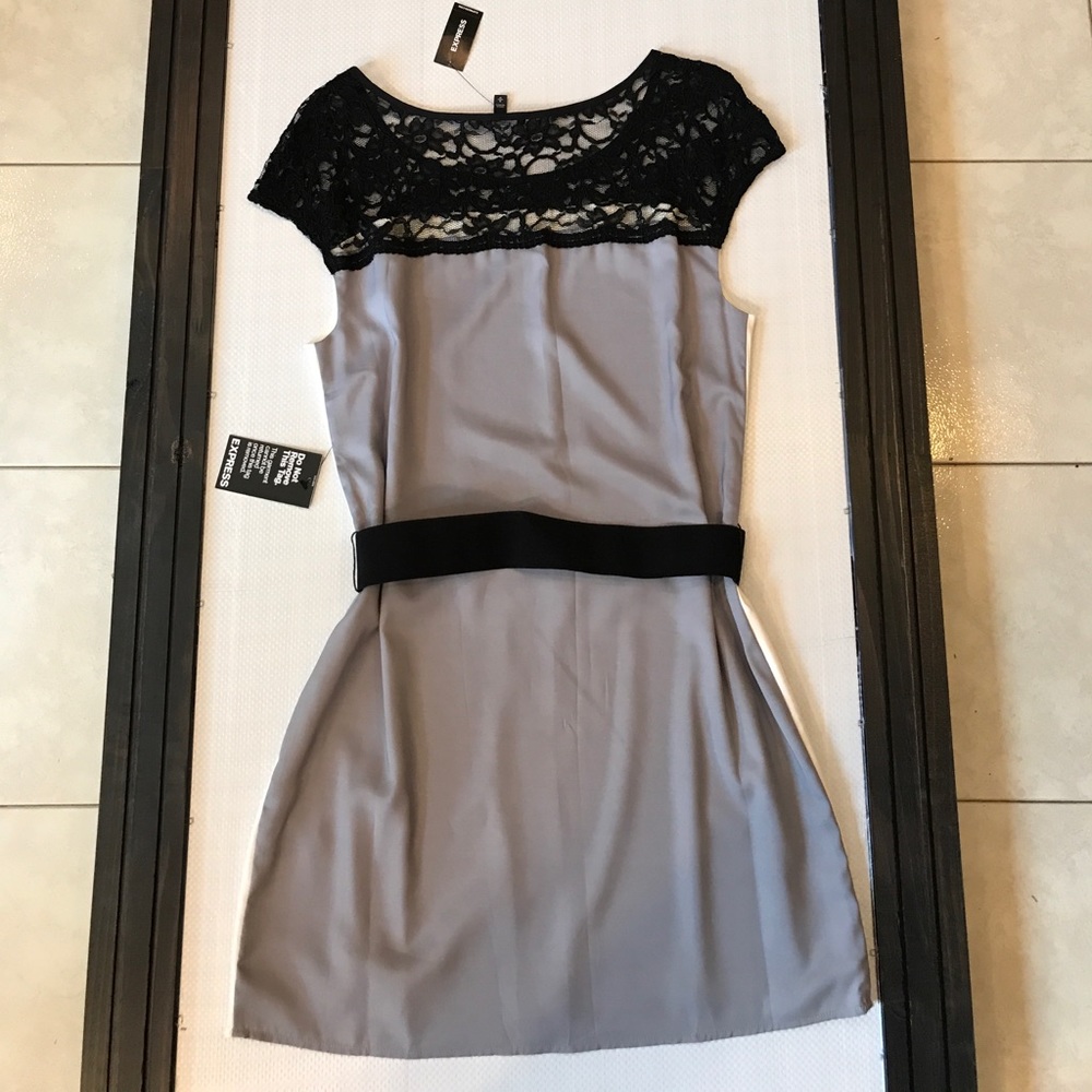 Express Dress - Picture 3 of 4