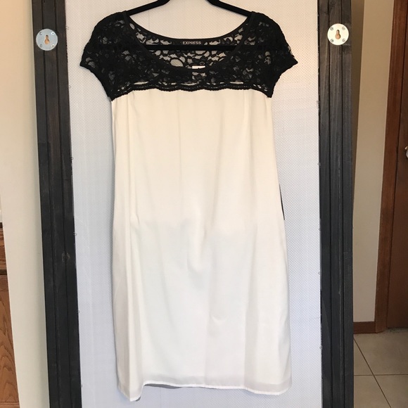 Express Dress - Picture 4 of 4